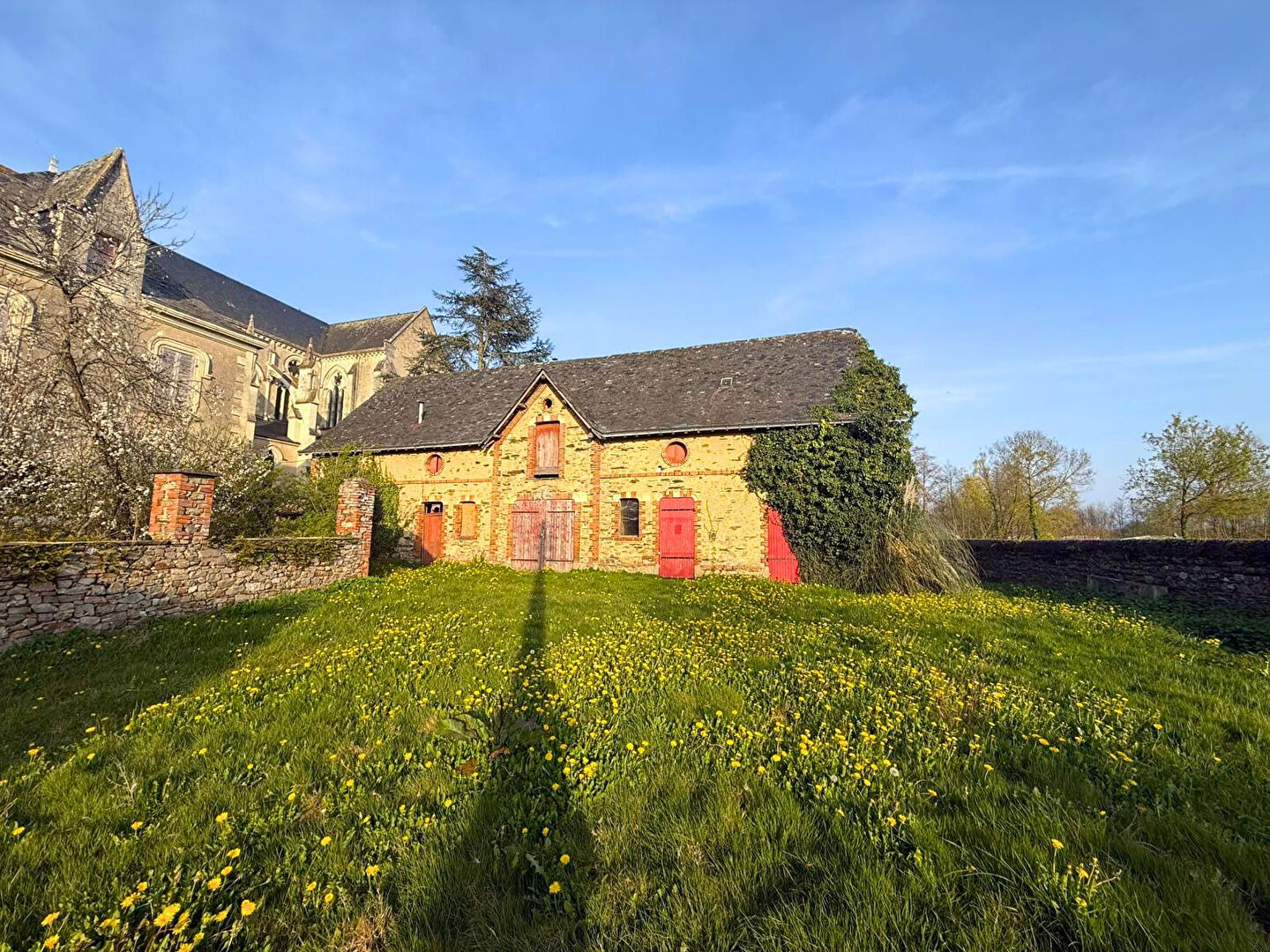 Agence immobilière de NEGO for you