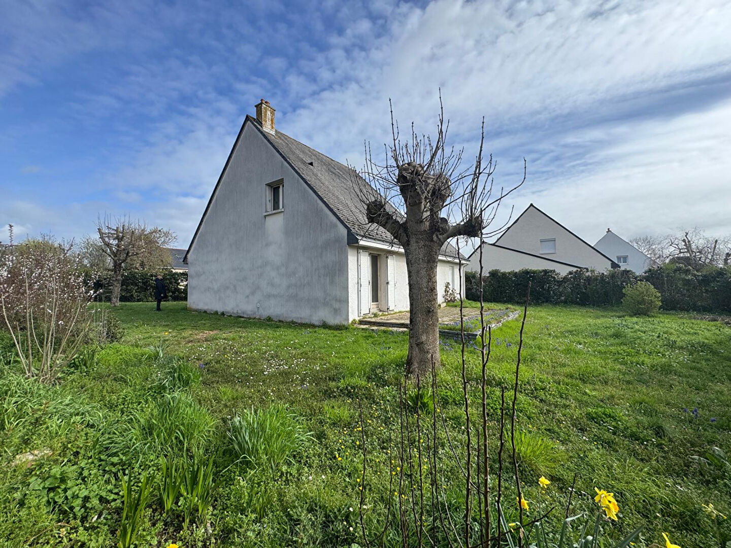 Agence immobilière de NEGO for you