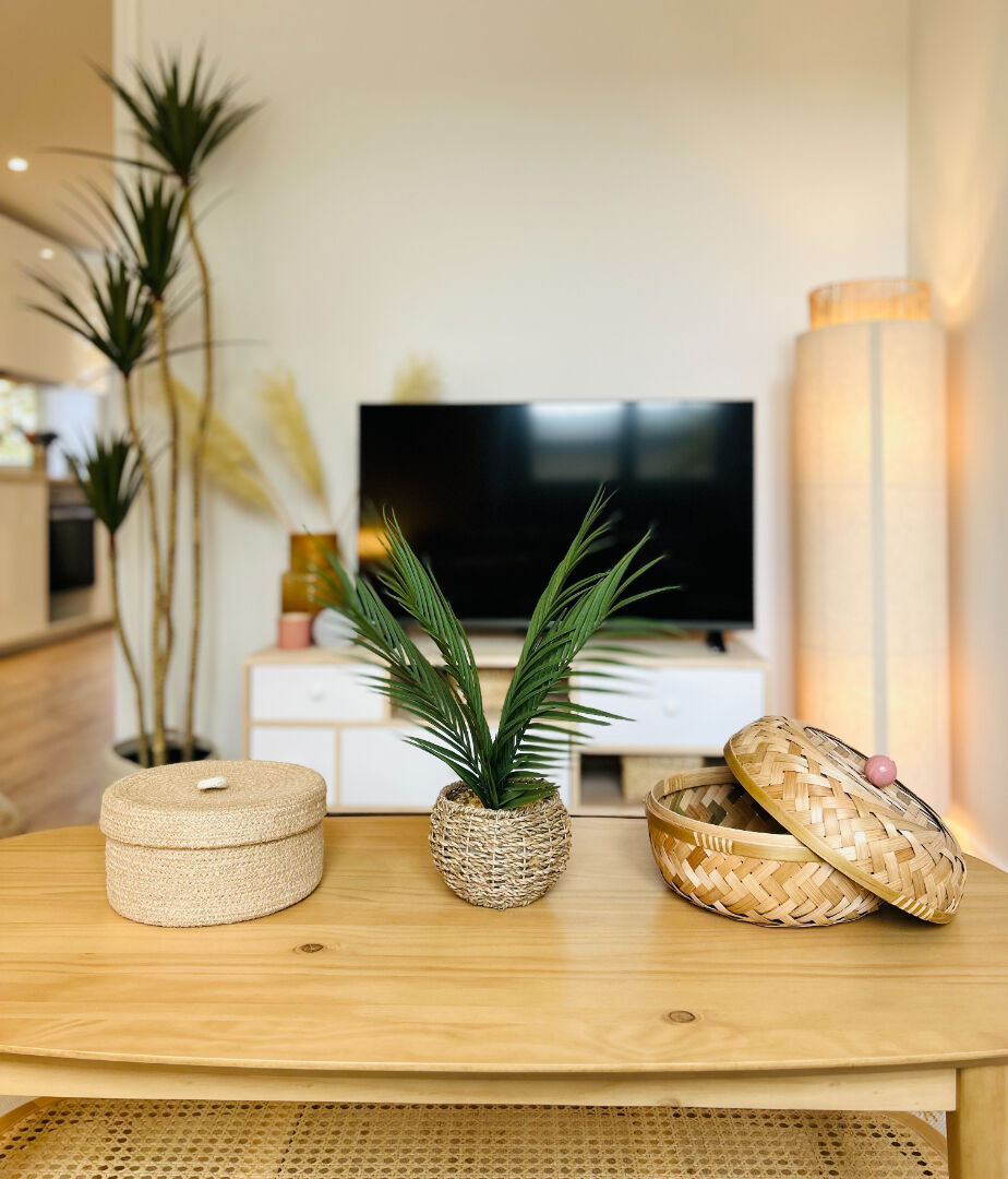 Photo COLOCATION MEUBLEE image 5/6