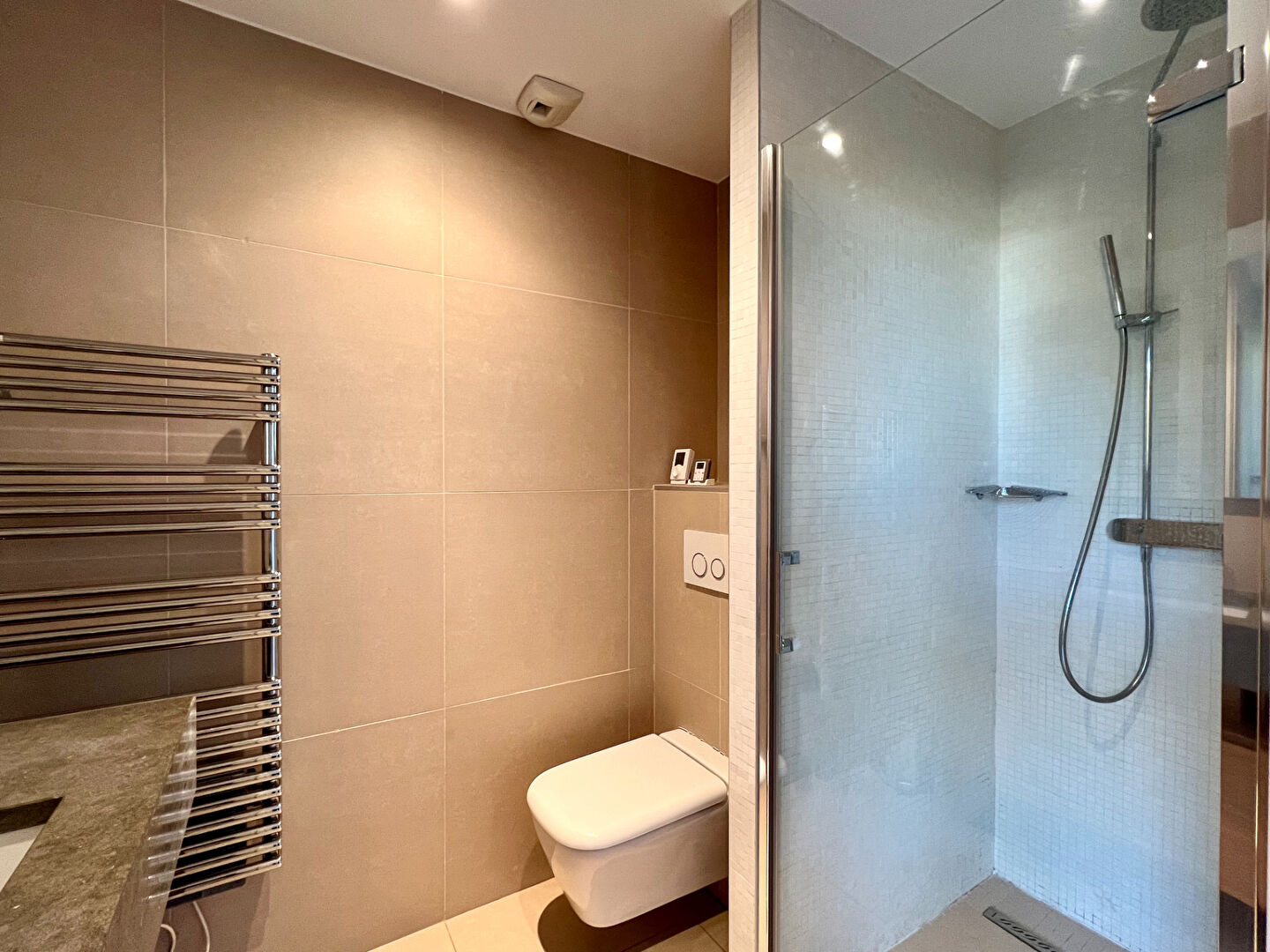 Photo Toit-Terrasse/ Saint-Pothin/Lyon 6 image 6/6