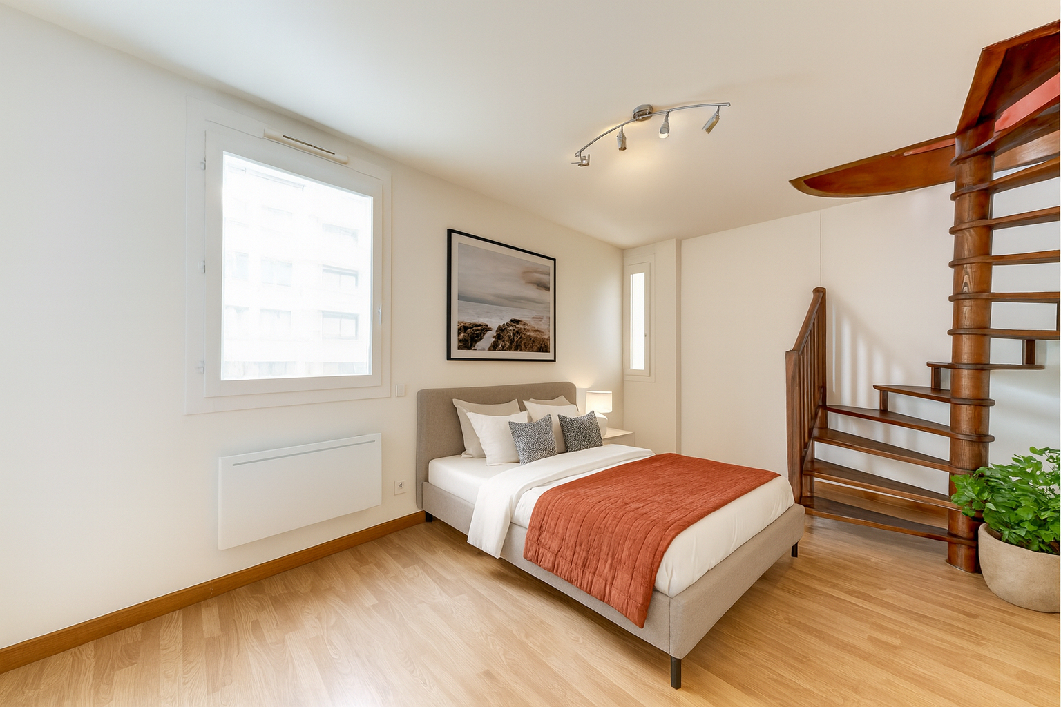 Photo T3 - SANS SOUCI image 3/4