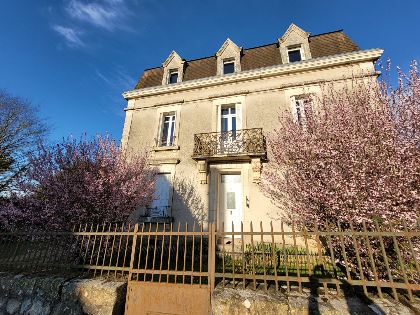 Photo Maison  de maître Nexon 8 pièce(s) 244 m2 image 1/6
