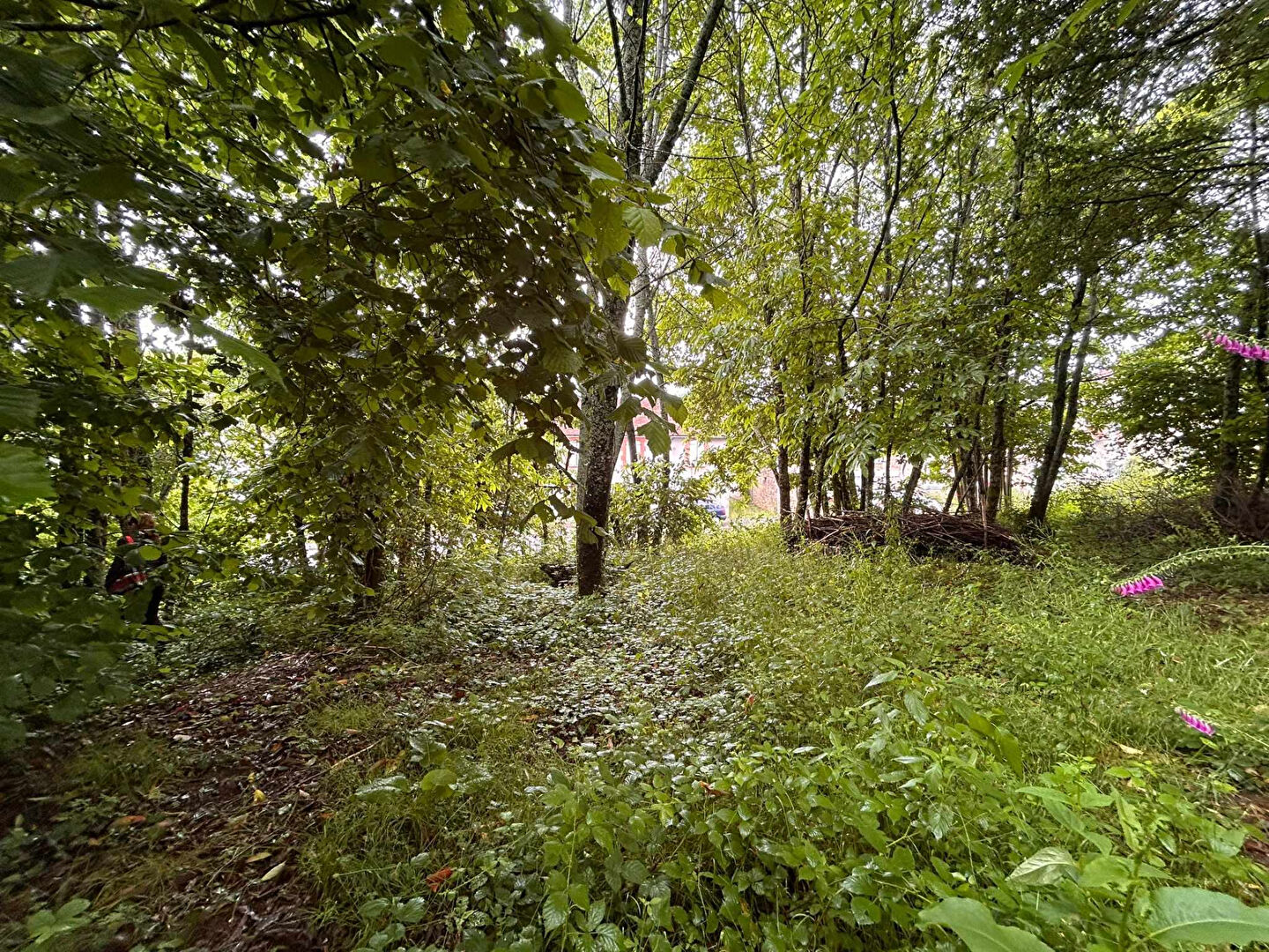 Photo terrain constructible image 3/6