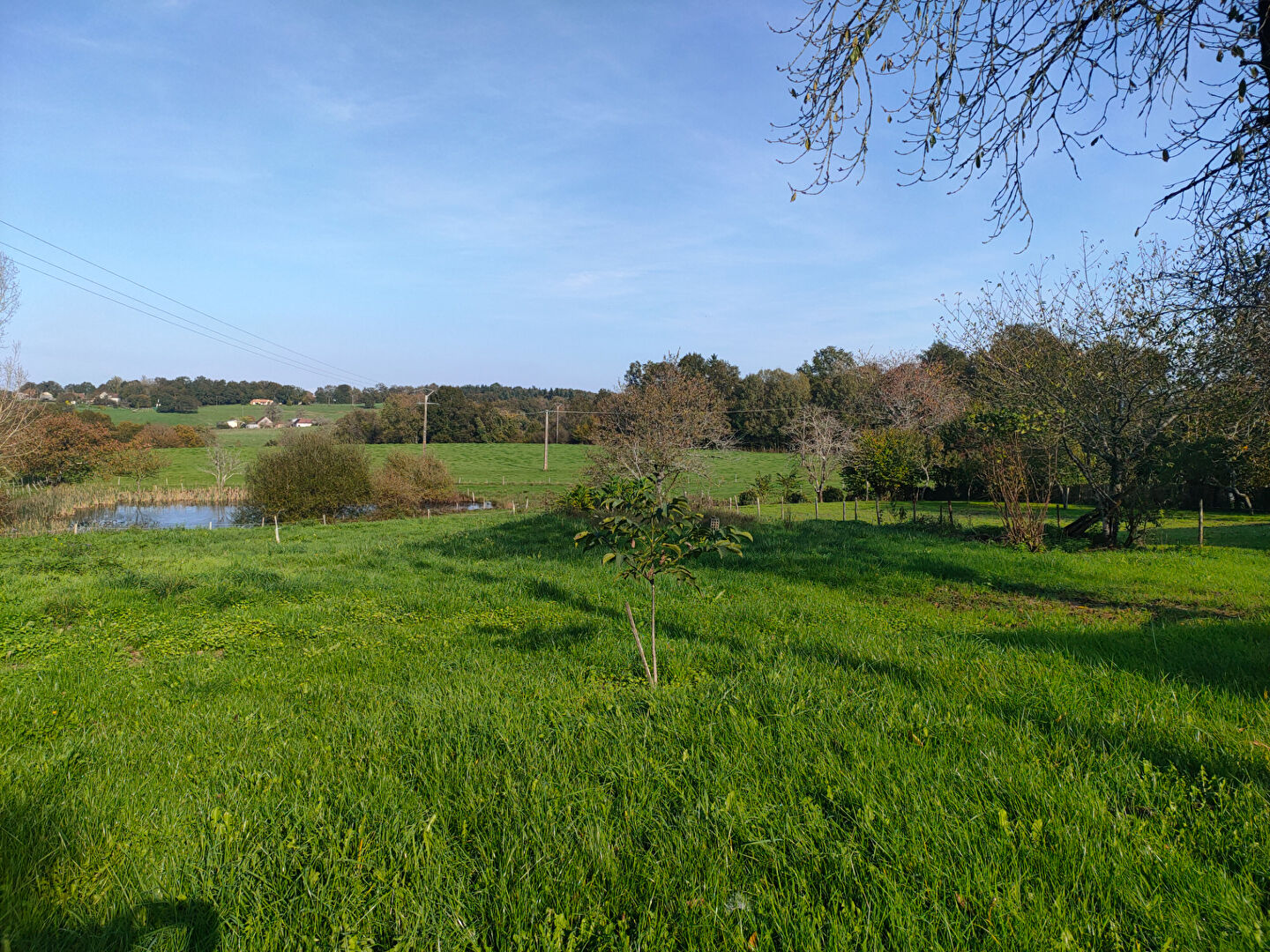 Photo Maison Lanouaille 2 pièce(s) 60 m2 image 5/6