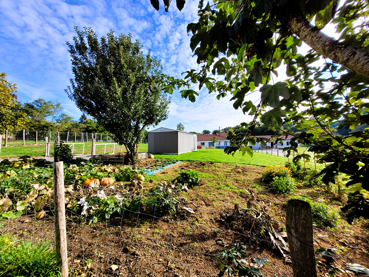 Photo Maison Nexon 6 pièce(s) 120 m2 image 4/6