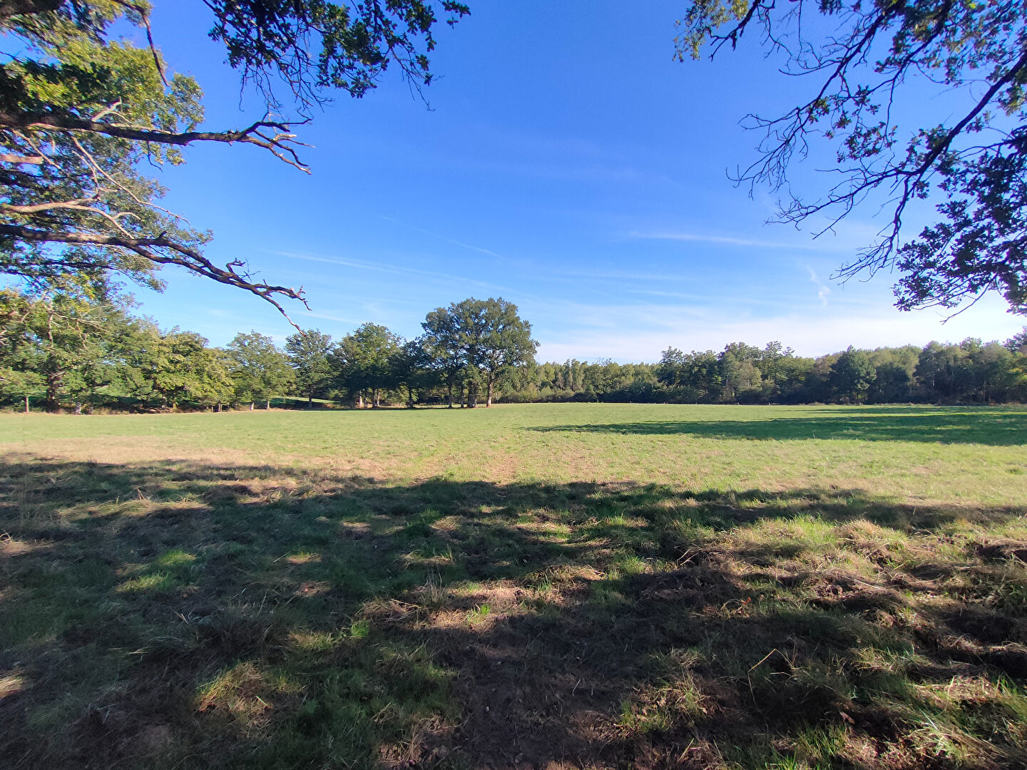 Agence immobilière de NEXIMMO Nexon - NEXIMMO