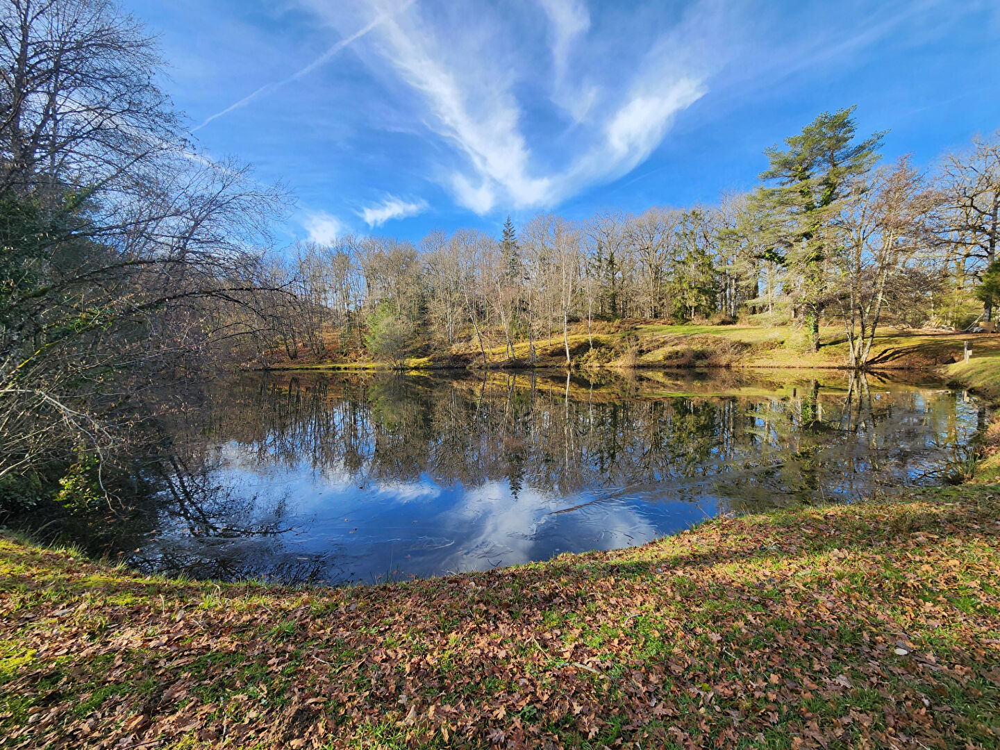 Agence immobilière de NEXIMMO Nexon - NEXIMMO