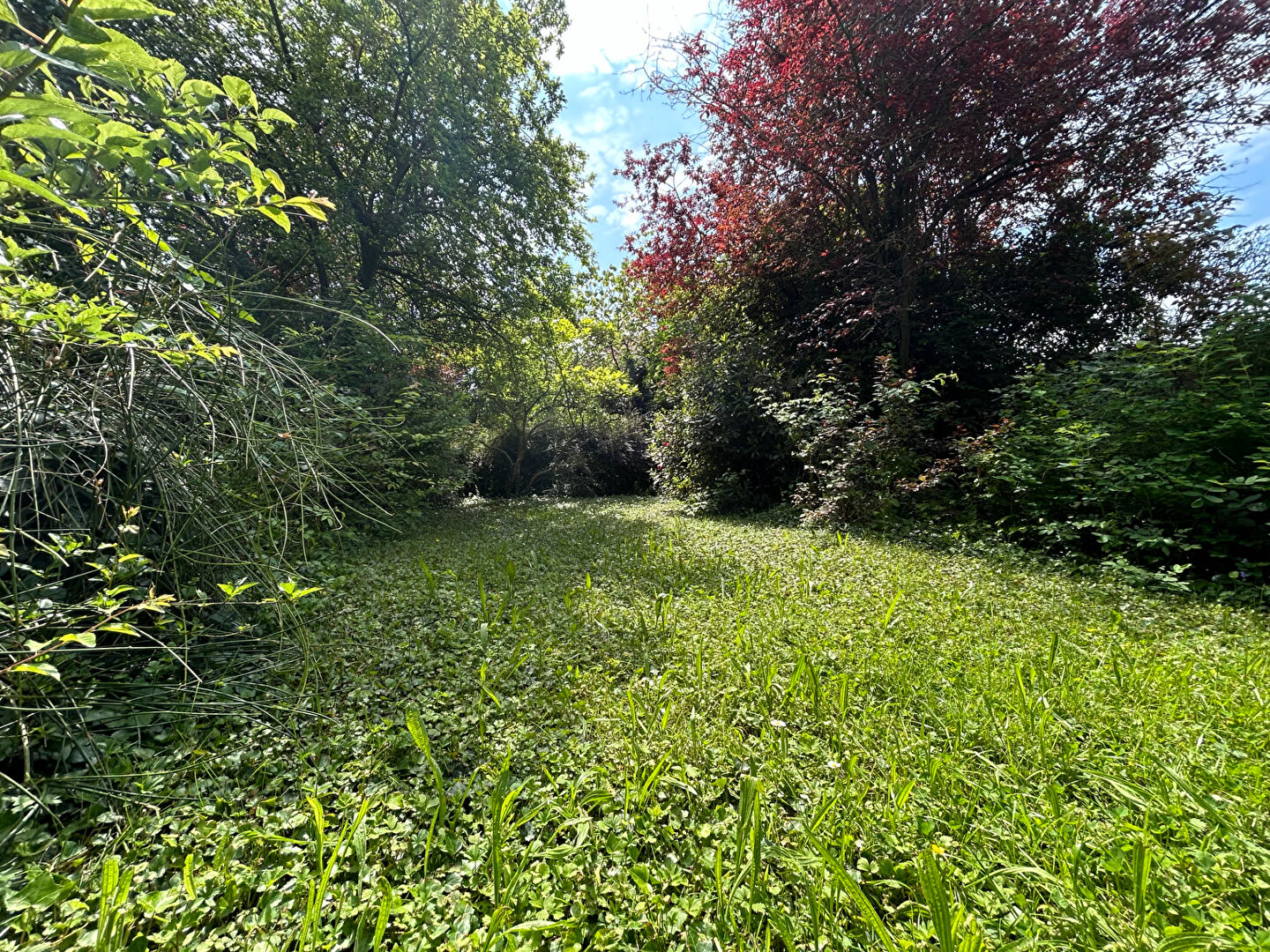 Terrain Antony 275 m2