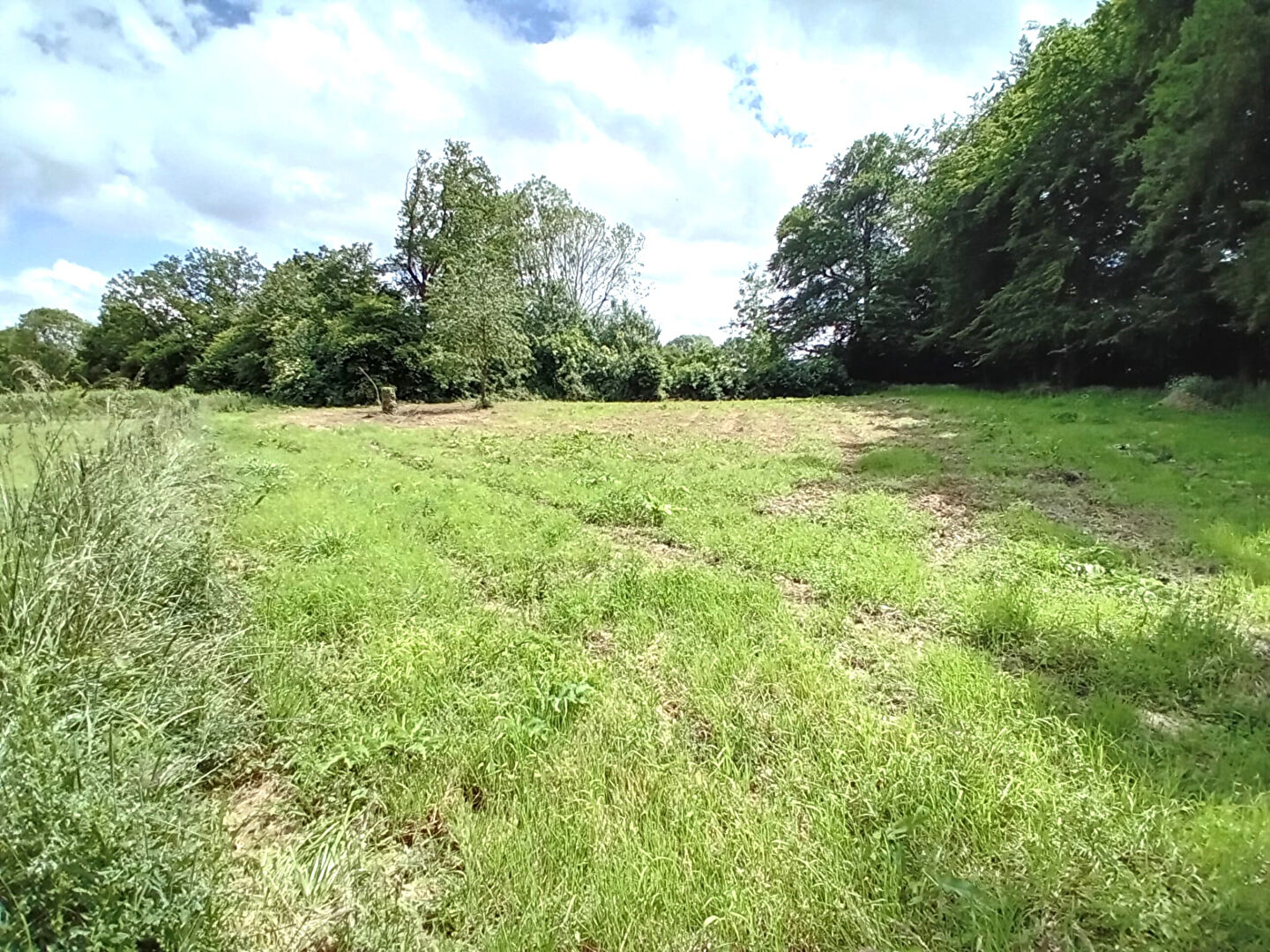 Terrain Esteville 2703m2