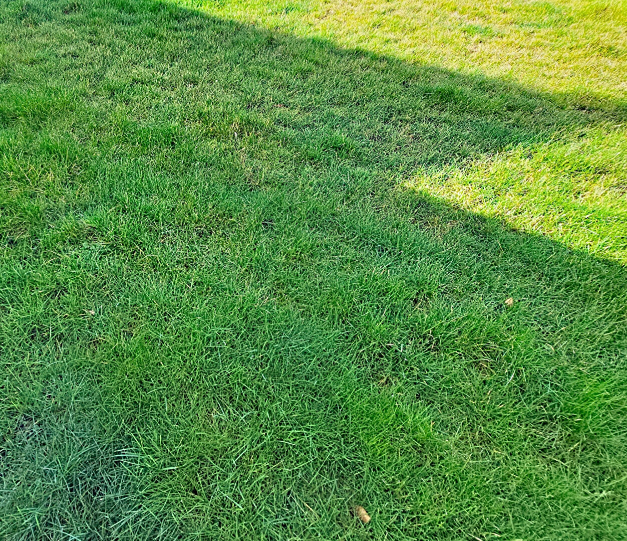 Terrain Bonsecours 225 m2