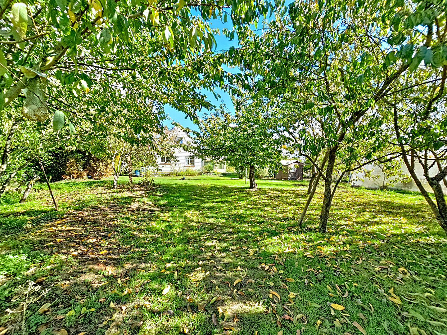 Maison Honguemare Guenouville 6 pièce(s) 103.67 m2