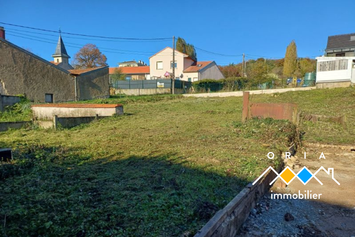 Photo ECUELLE - Terrain image 3/6