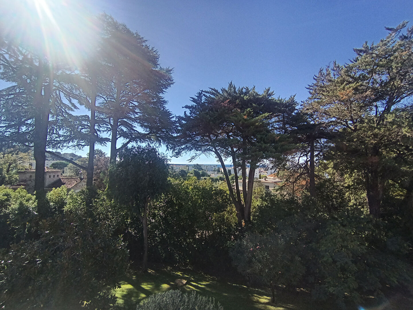 Agence immobilière de OXIA Golfe-Juan