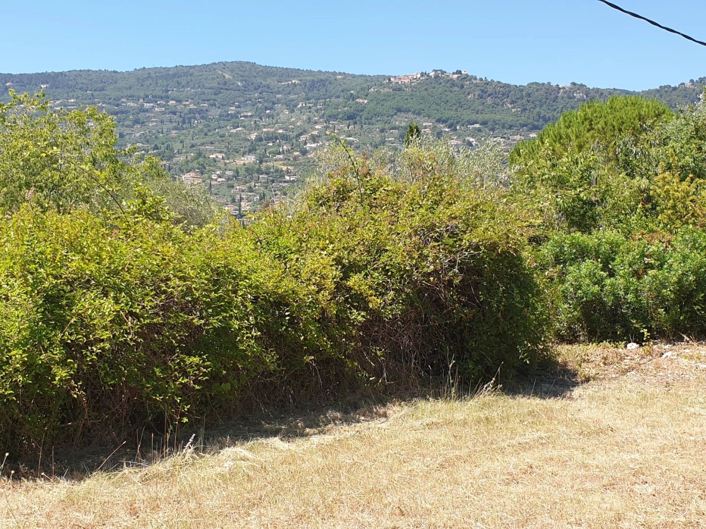 Photo Terrain constructible Peymeinade image 3/6