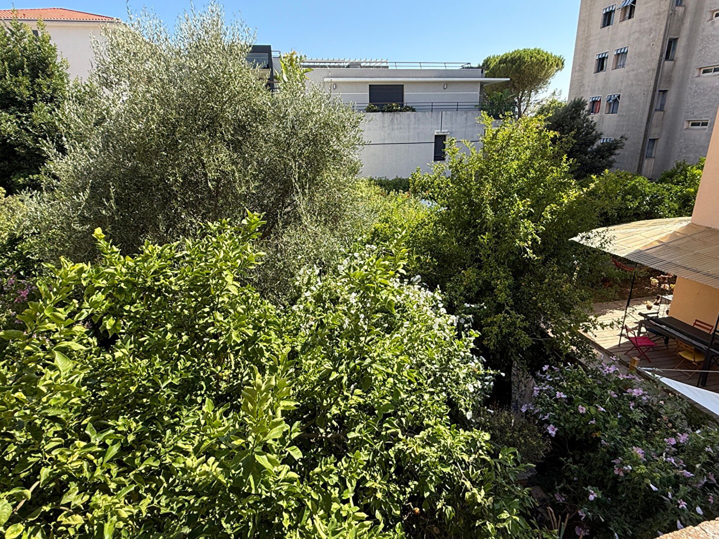 Agence immobilière de OXIA Golfe-Juan