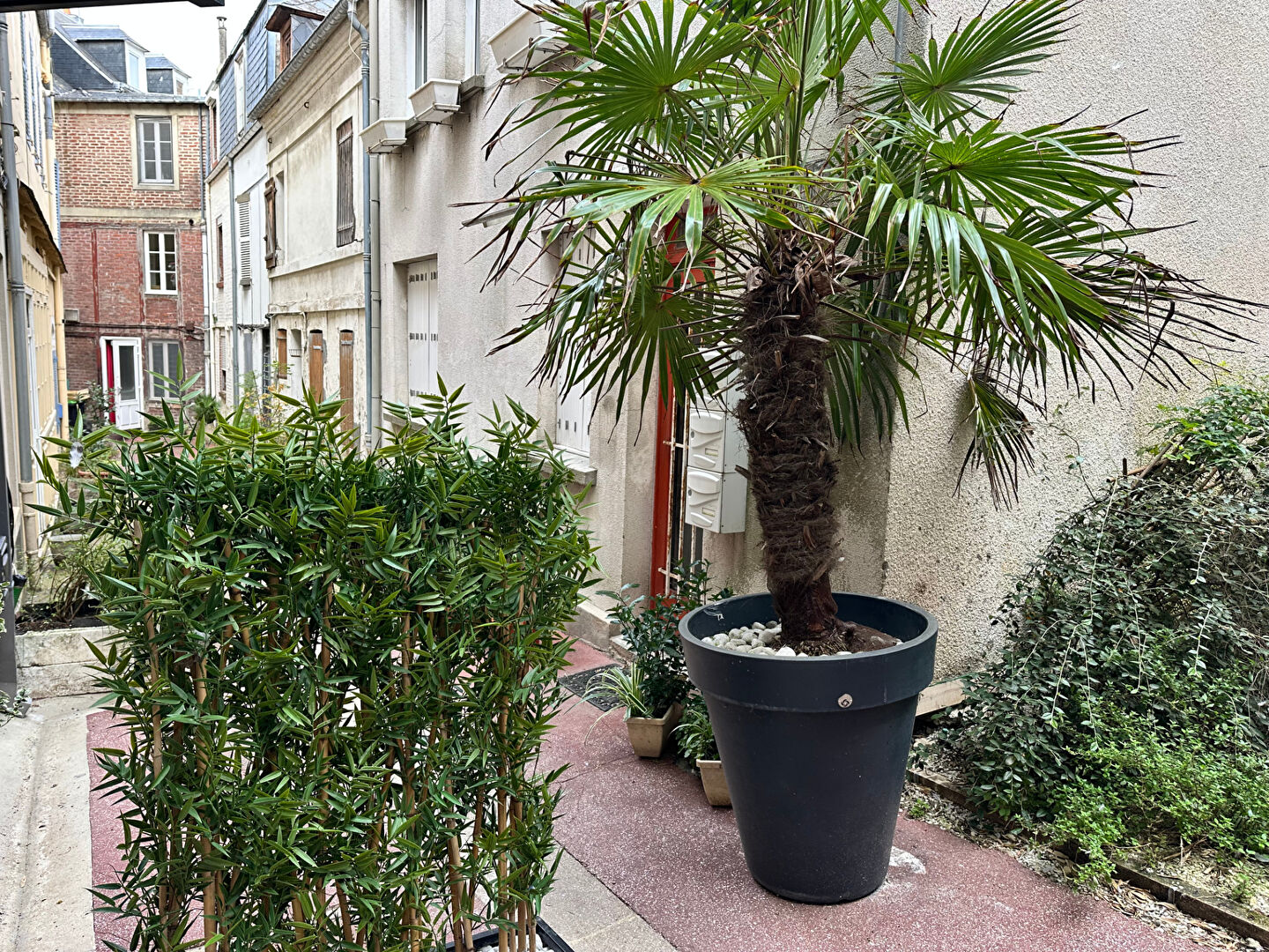 Photo STUDIO AVEC CHAMBRETTE TROUVILLE-SUR-MER image 2/6