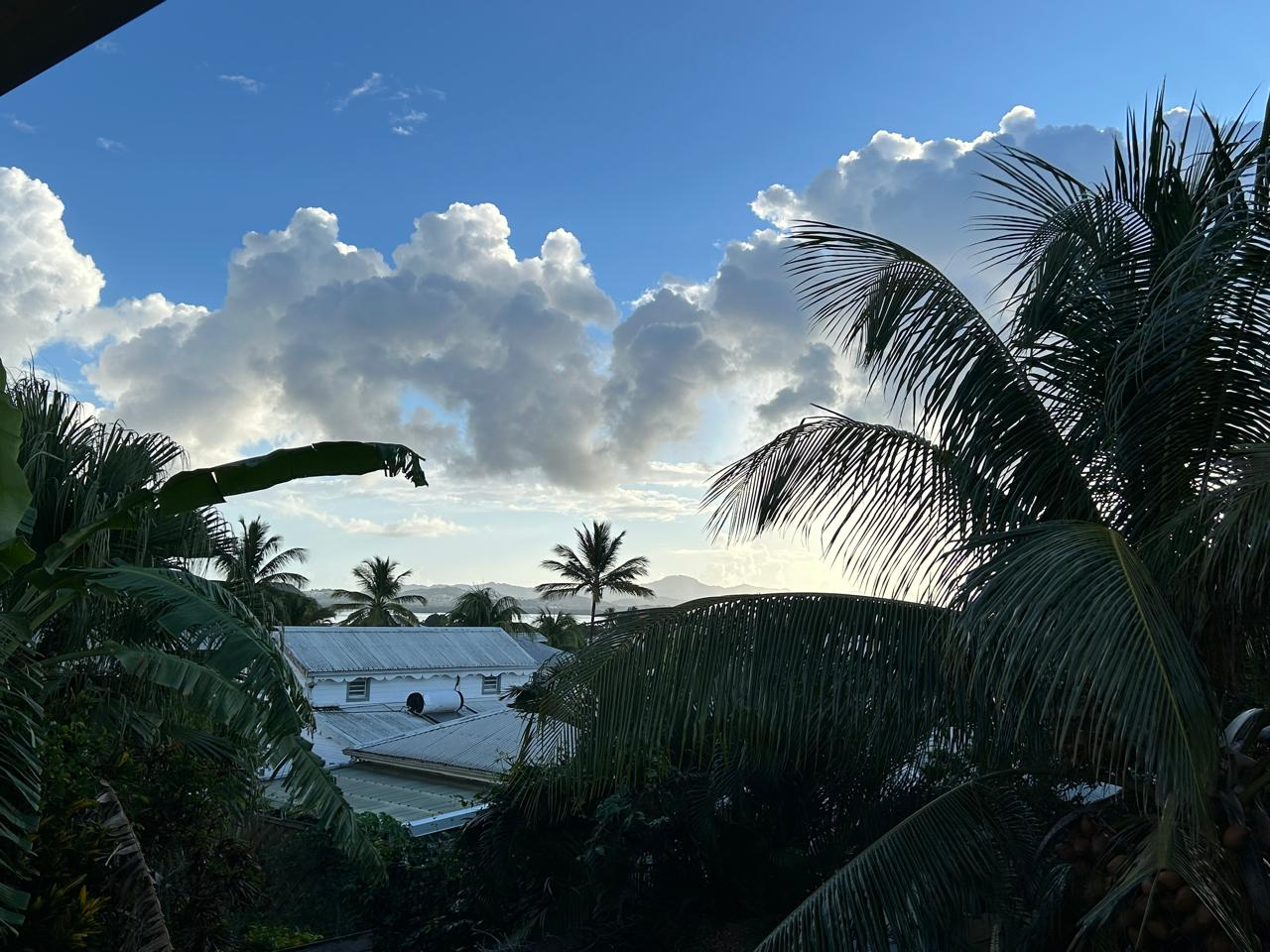 Agence immobilière de OXIA Golfe-Juan