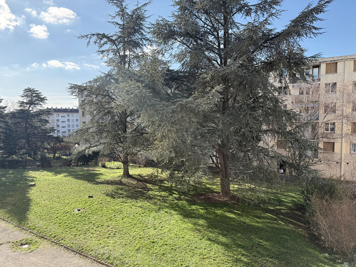 Agence immobilière de OXIA Lyon