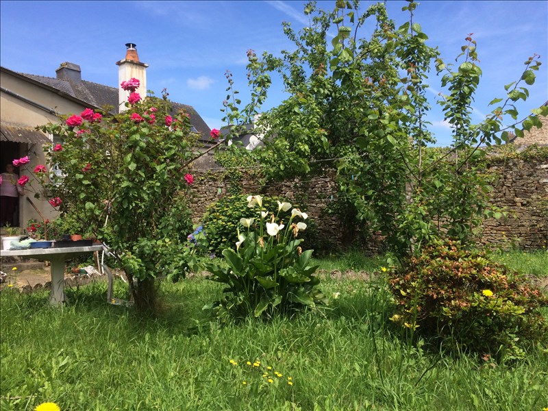 Photo MAISON PLUVIGNER - 3 pièce(s) - 65 m2 image 3/3