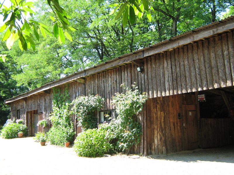 Photo MAISON CAMORS - 6 pièce(s) - 140 m2 image 4/5