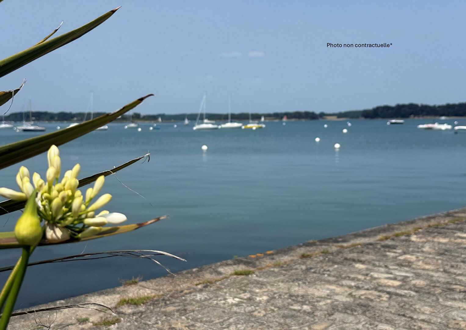 Photo Jolie maison de ville - LOCMARIAQUER image 2/3