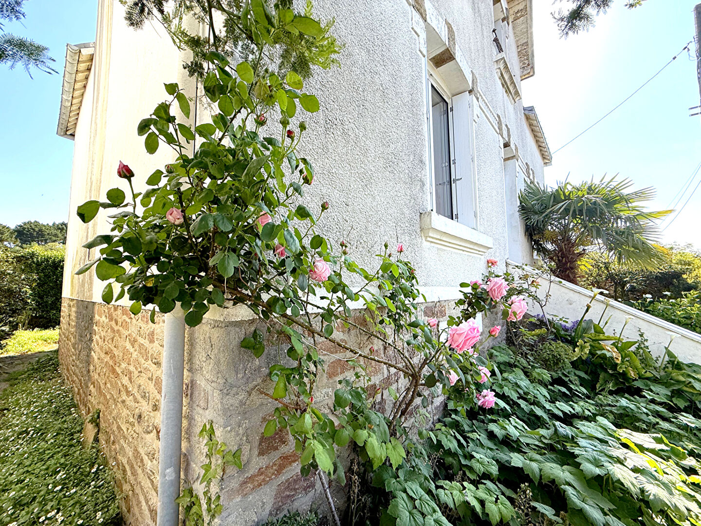 Agence immobilière de PARKI IMMOBILIER Auray