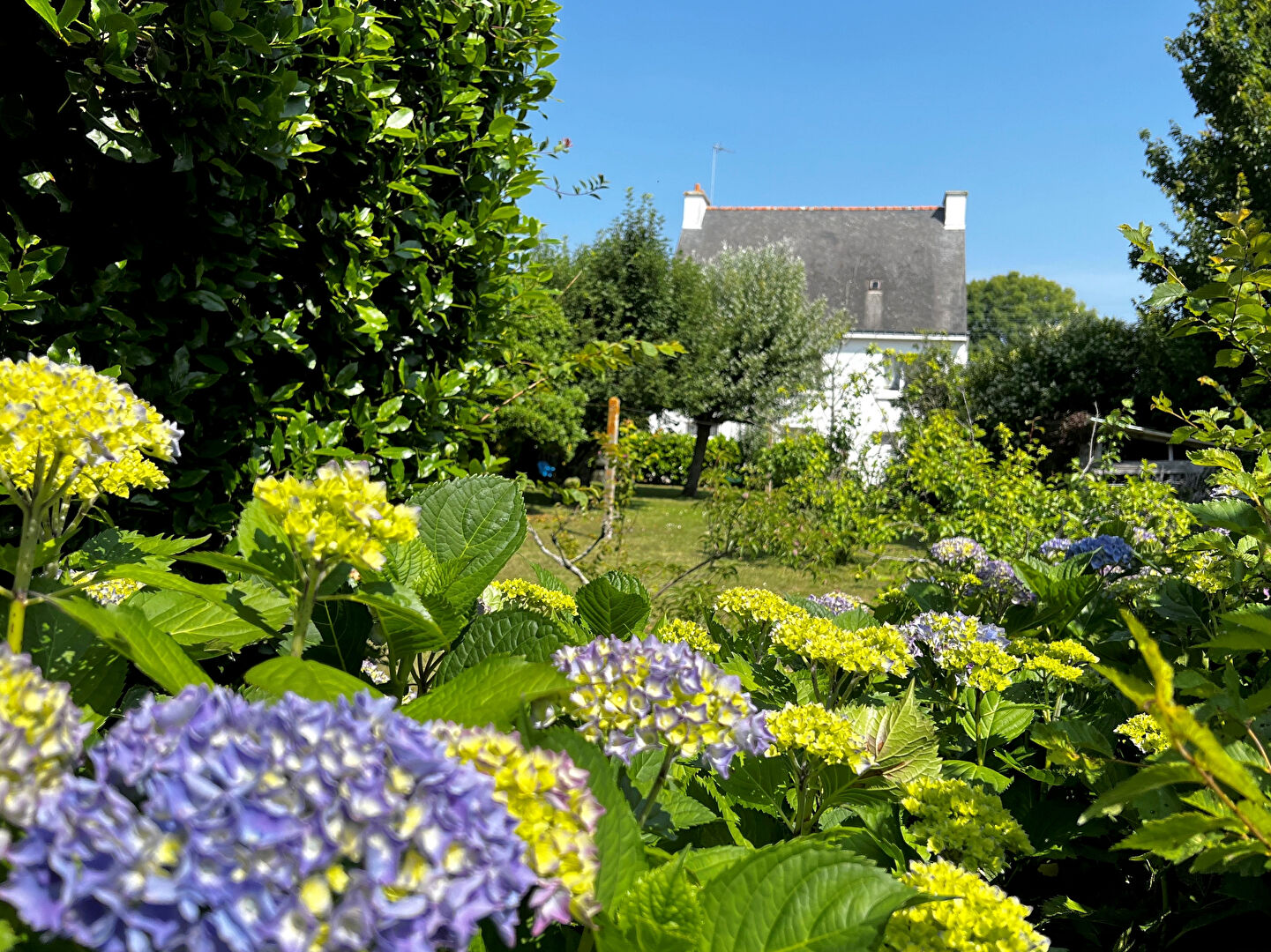 Maison Saint Philibert 6 pièces 135 m2