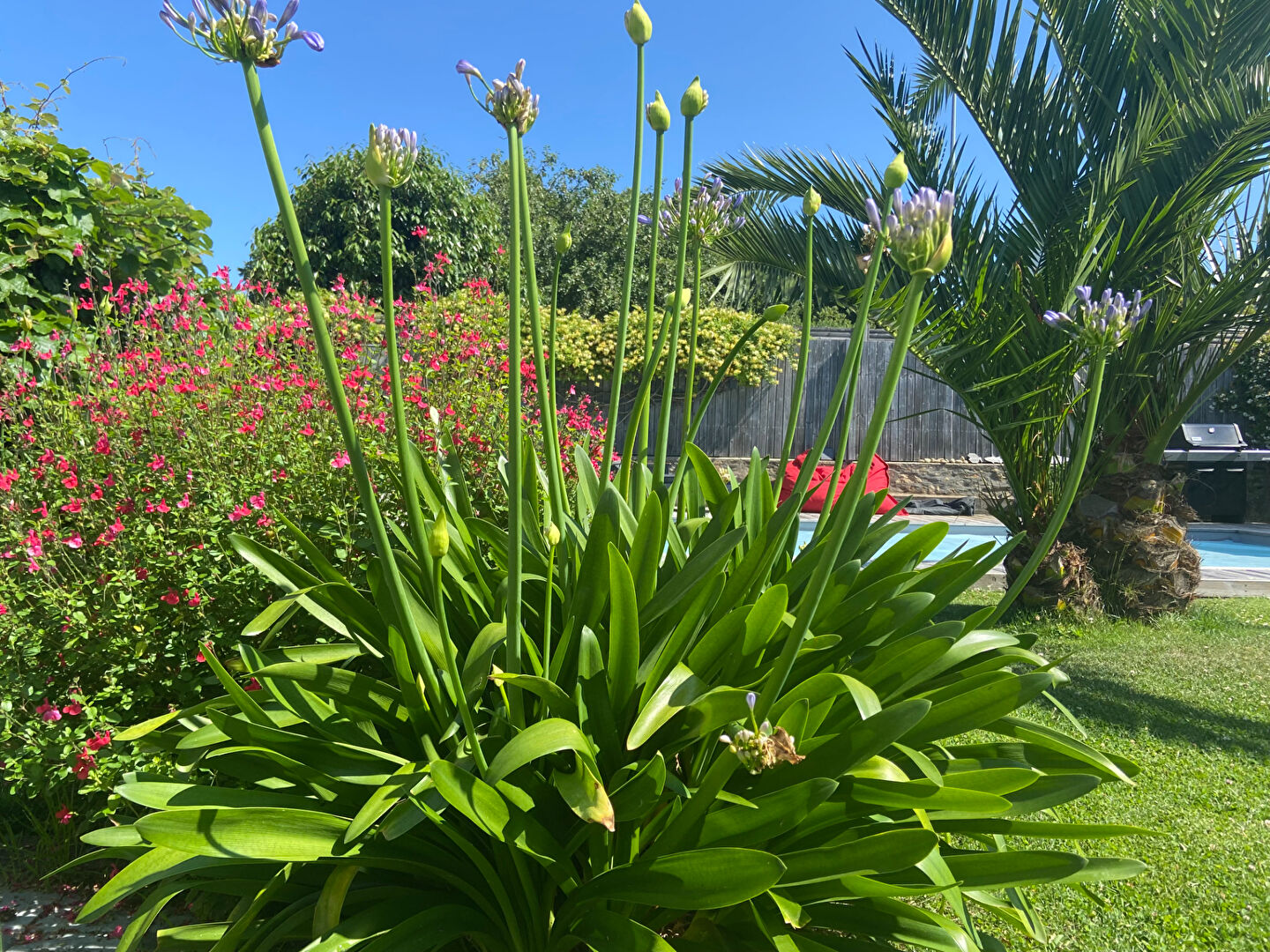 Propriété aux belles prestations en coeur de ville à AURAY