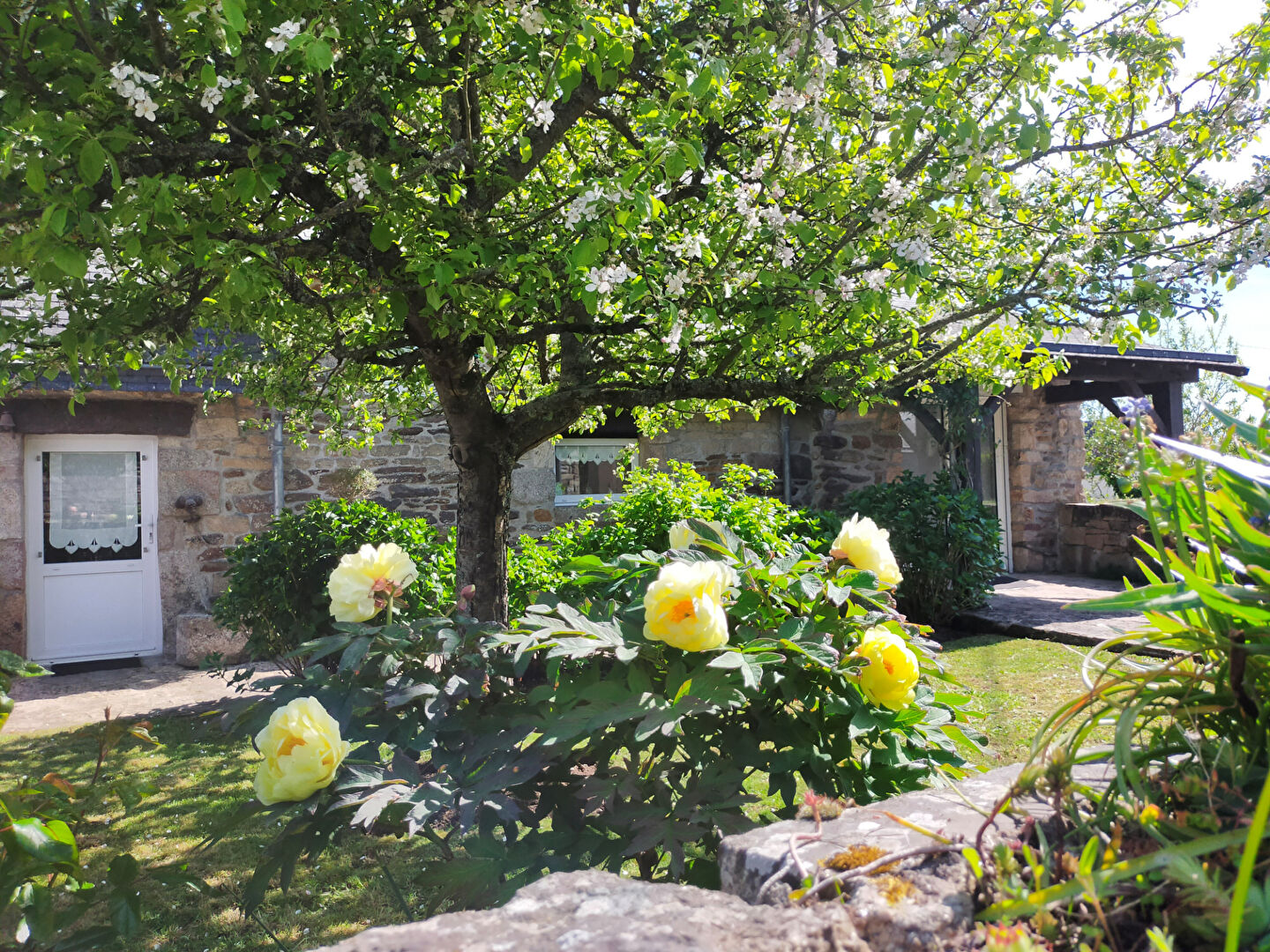 Photo LA MER À PIED image 4/5