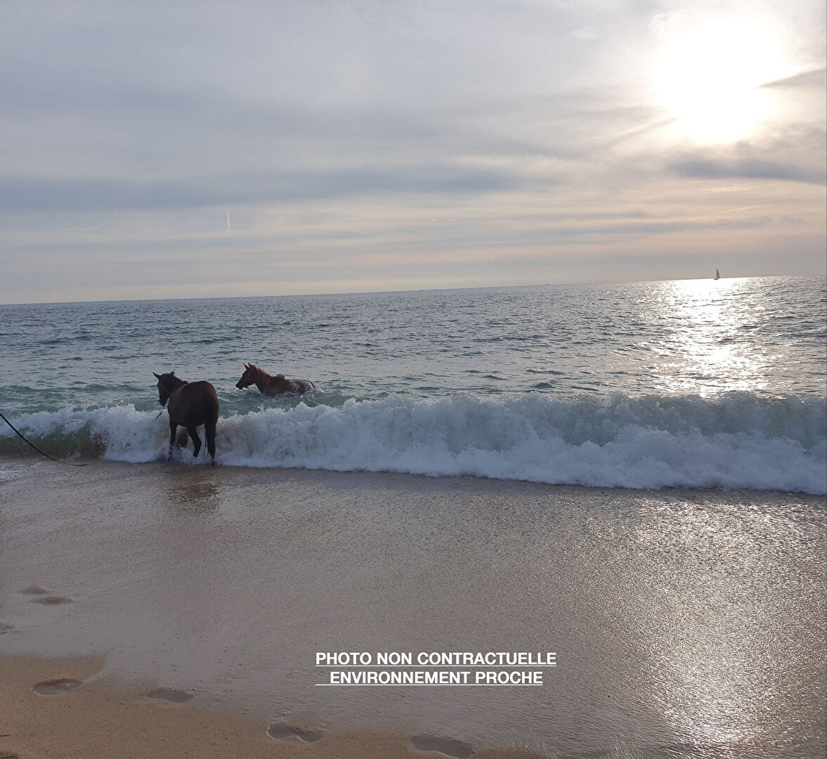 Photo MAISON PLOUHINEC - 5 pièce(s) - 180 m2 image 2/2