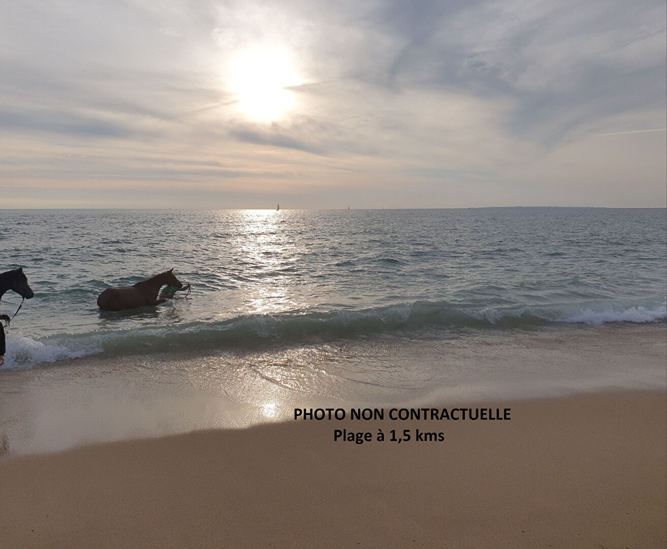 MAISON PLOUHINEC - 9 pièce(s) - 185 m2