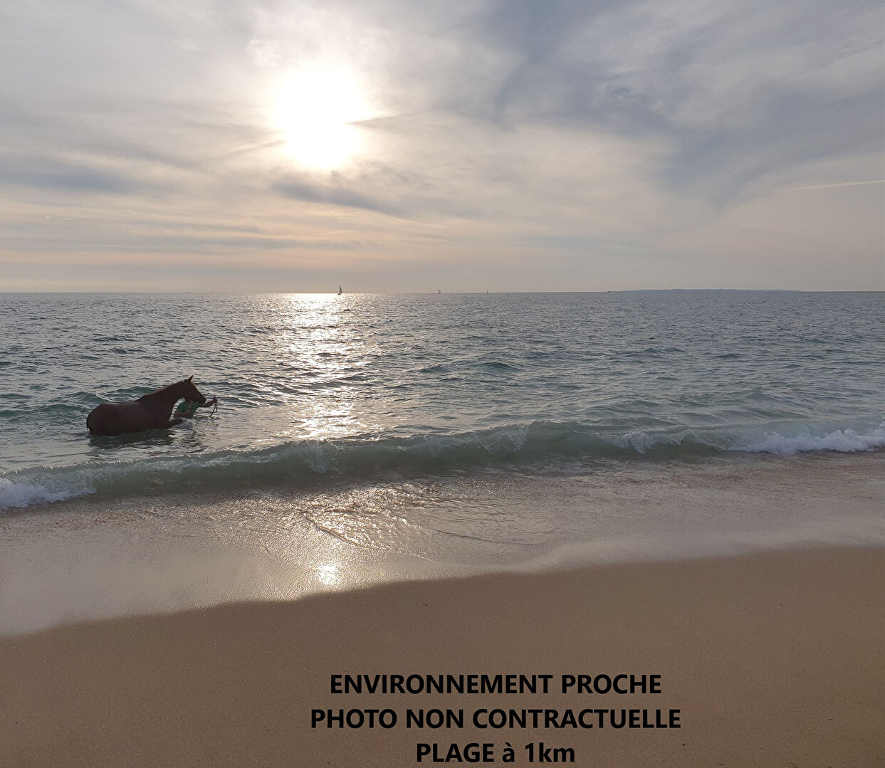 Agence immobilière de PARKI IMMOBILIER PLOUHINEC