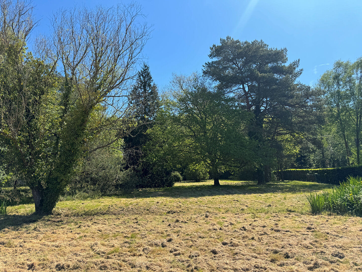 Agence immobilière de PARKI IMMOBILIER PLUVIGNER