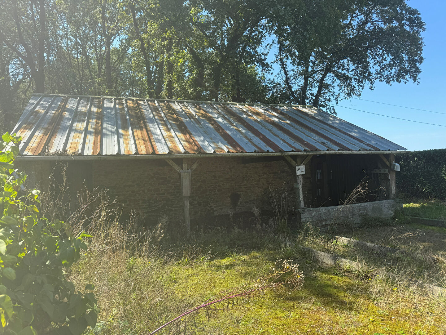 Photo ATYPIQUE image 2/2