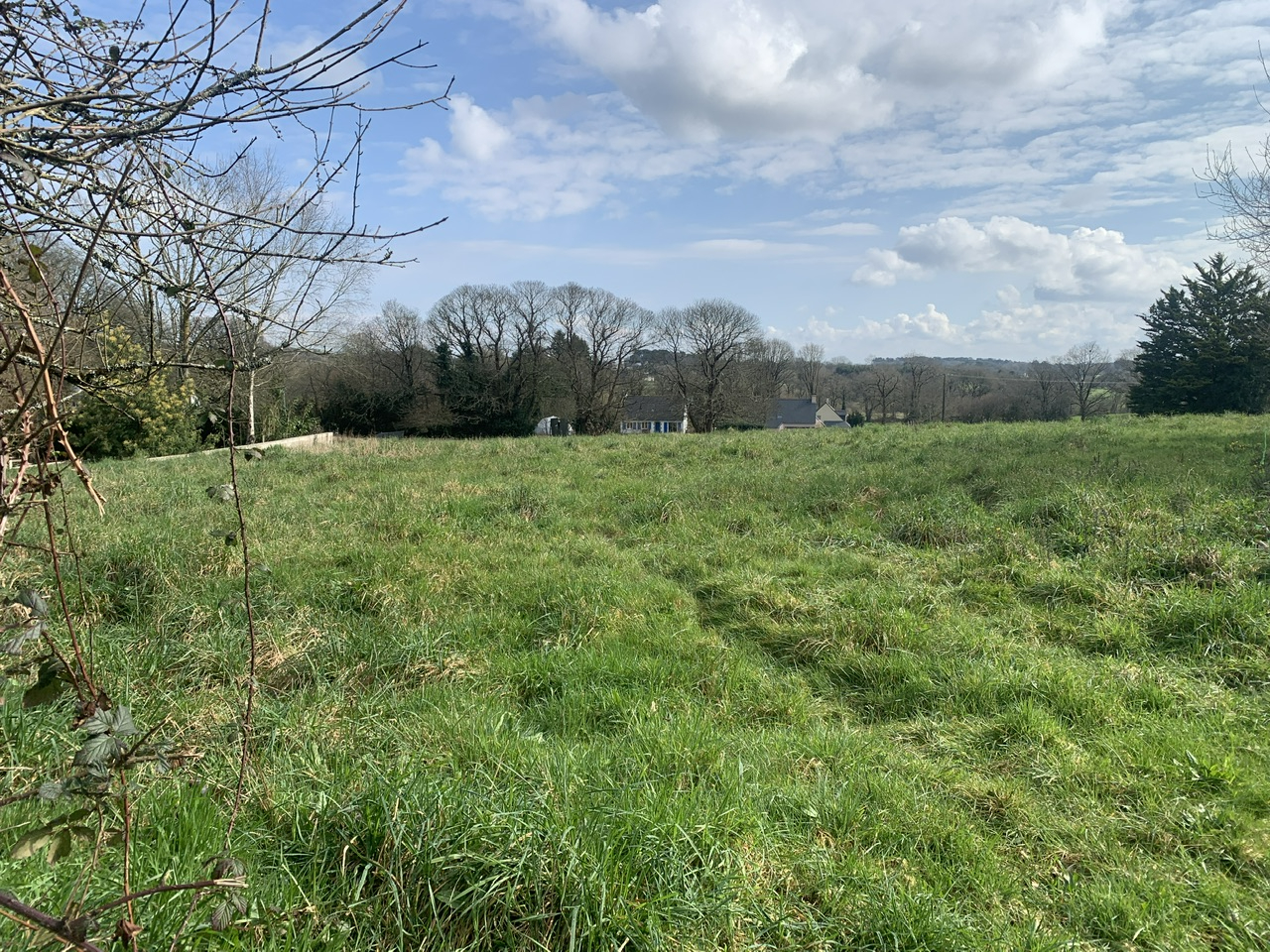 Photo TERRAIN  1200m² PLUVIGNER image 1/1