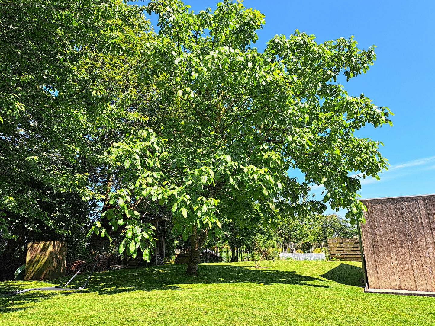 Photo Maison Plumergat  6 pièce(s) 199 m2 image 6/6