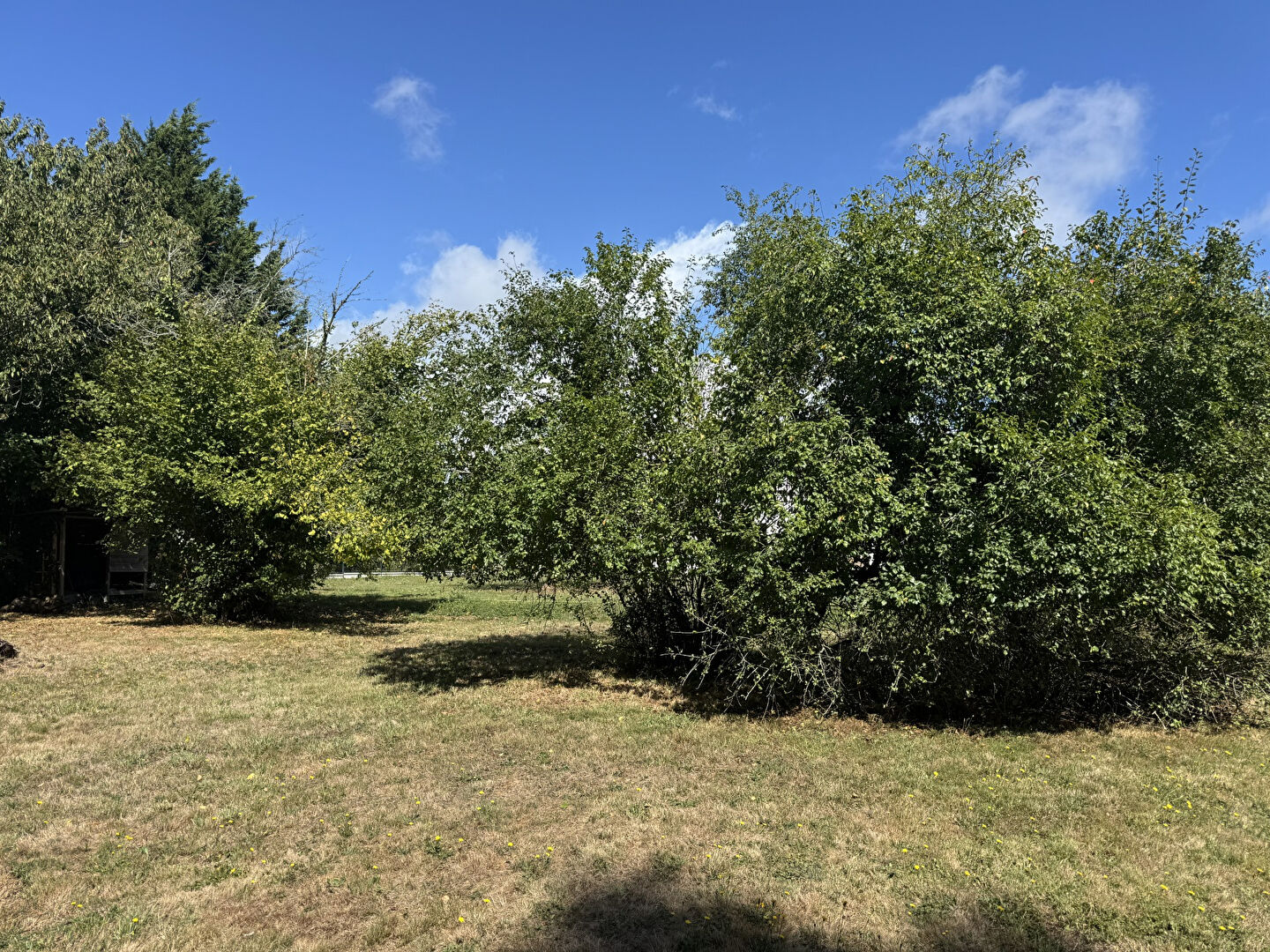 Photo Terrain 700 m² LANDAUL image 3/3