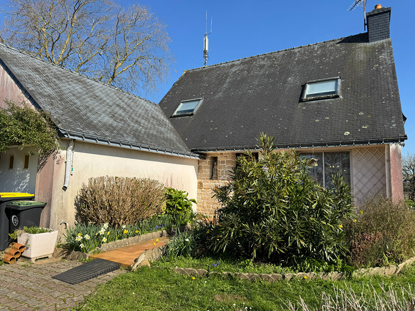Agence immobilière de PARKI IMMOBILIER PLUVIGNER