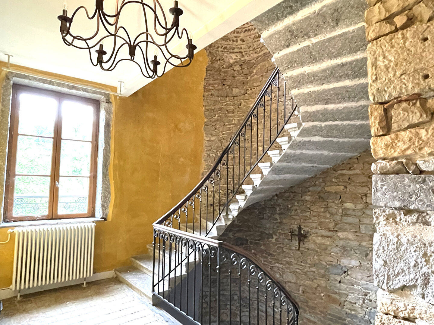 Photo Maison de Maître Decines Charpieu 570 m2 image 4/6