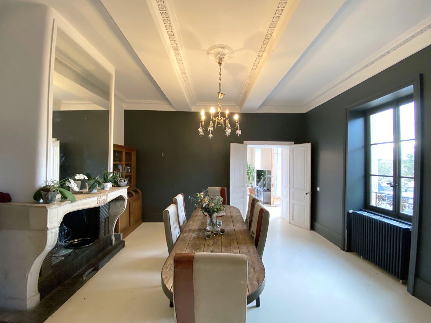 Photo Maison de Maître Decines Charpieu 570 m2 image 5/6