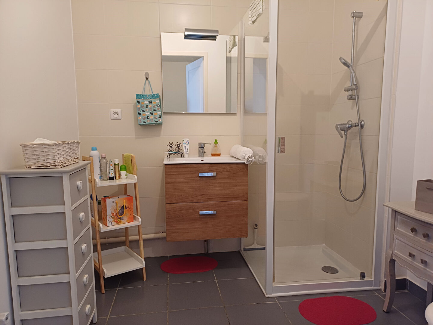 Photo Appartement Thonon Les Bains 1 pièce 30 m² avec balcon et parking image 6/6