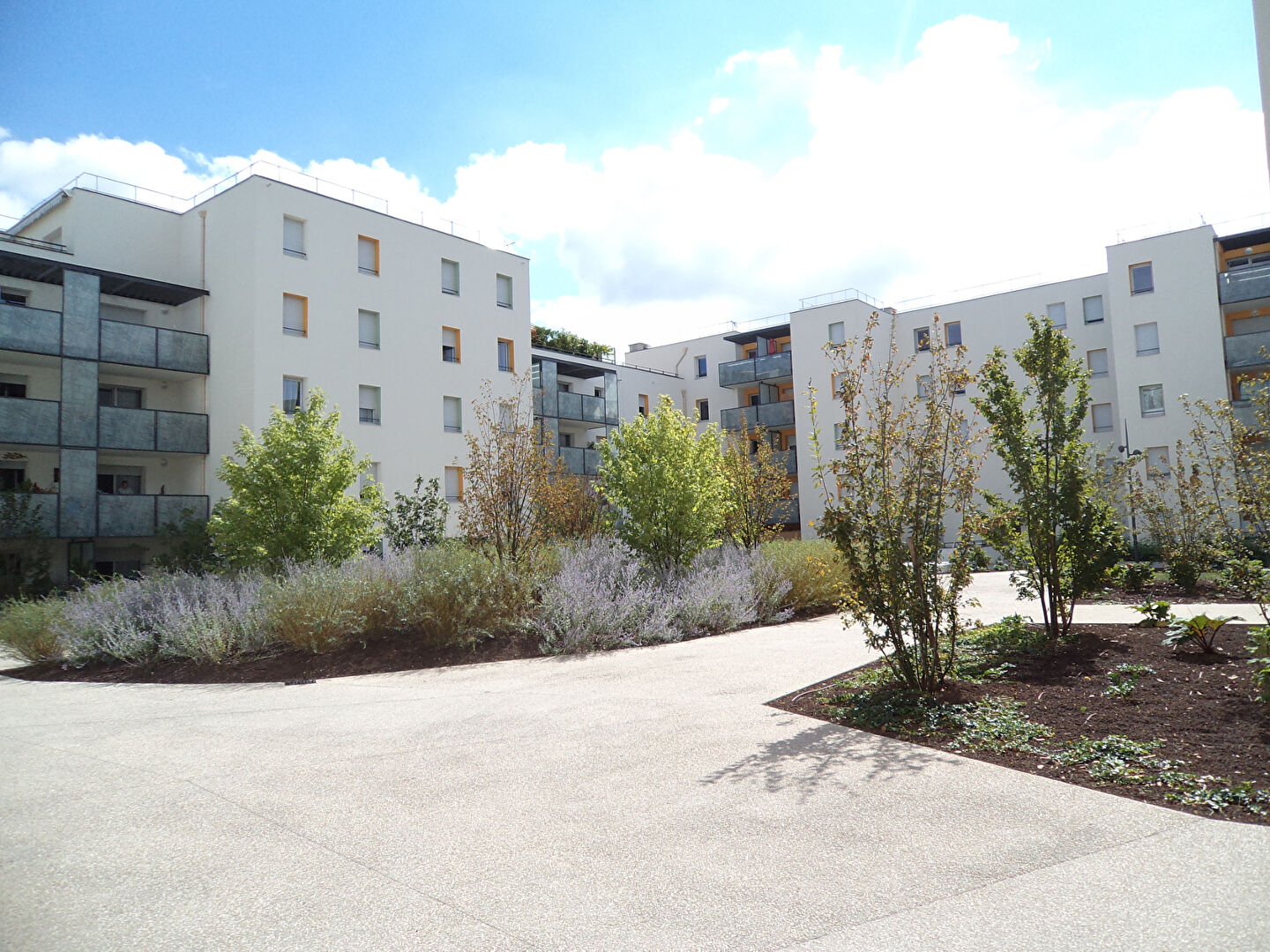 Photo Appartement Venissieux 2 pièces 36 m² avec garage image 6/6