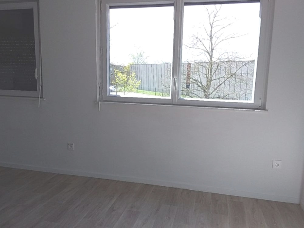 Photo Appartement Lingolsheim 2 pièces 41 m² avec parking image 4/6
