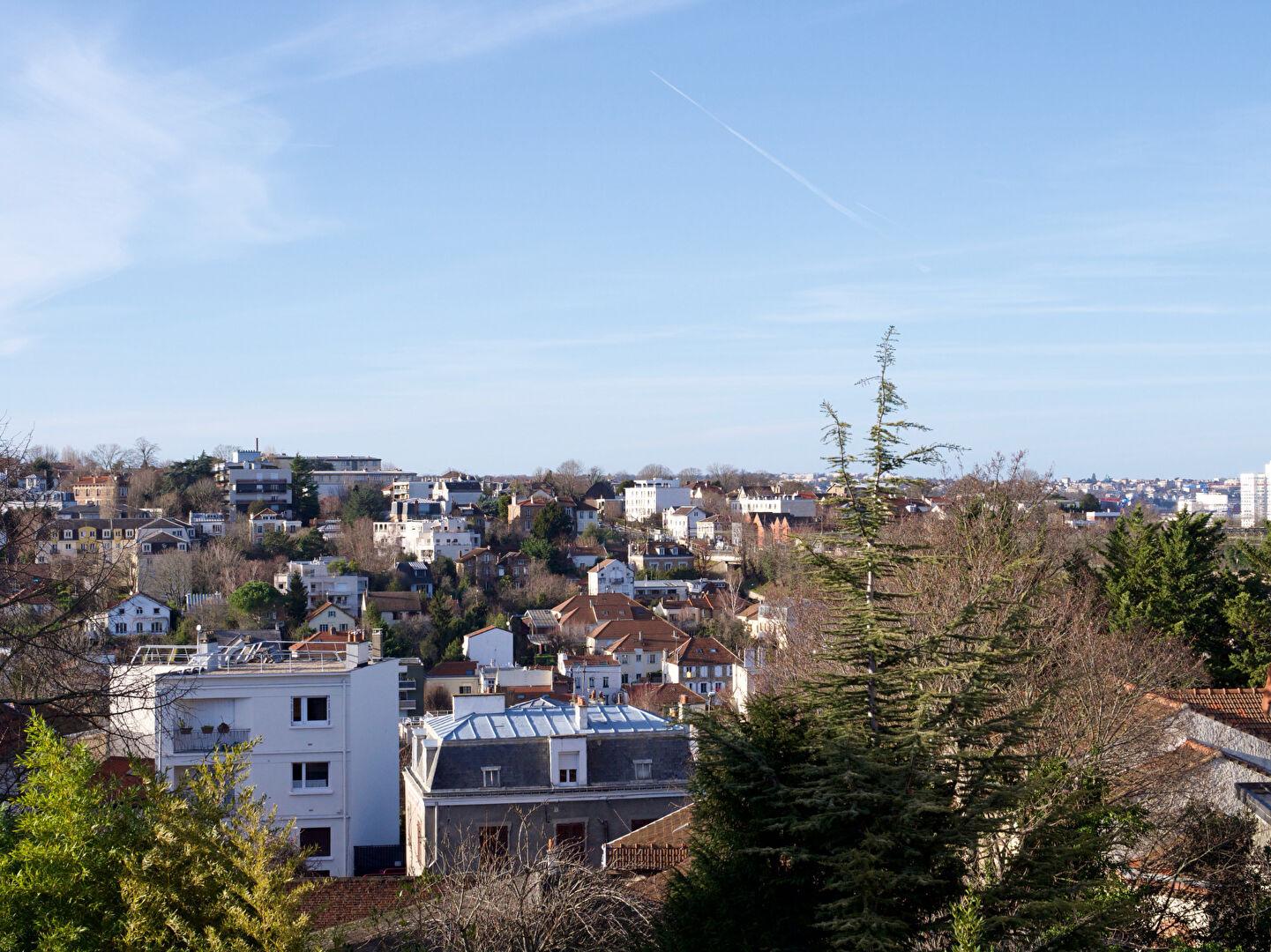 Photo Hôtel particulier Meudon 11 pièce(s) image 3/6