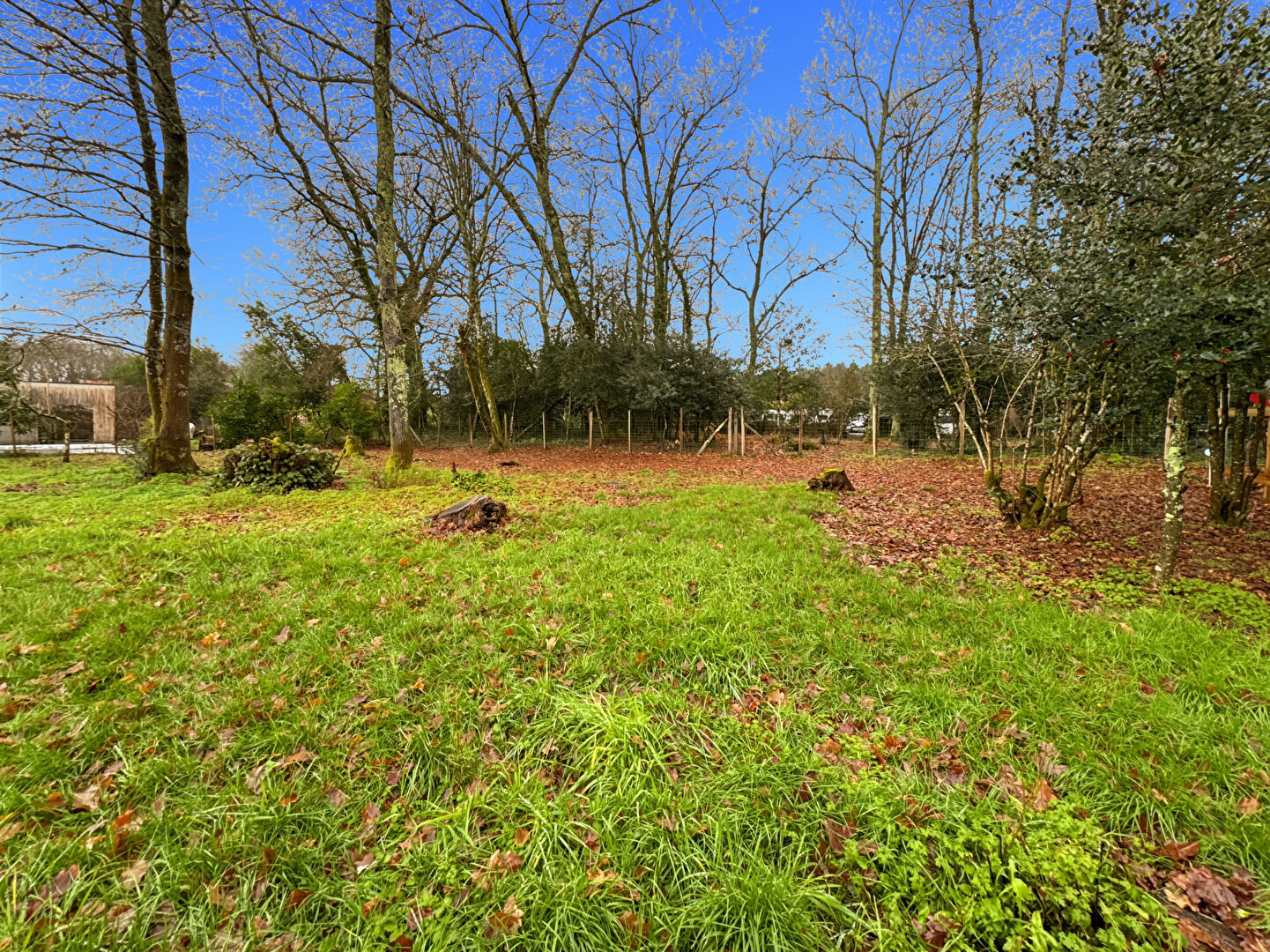 Agence immobilière de RB Immobilier Gradignan - RB Immobilier