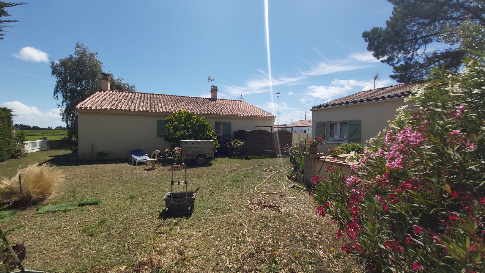 image_1