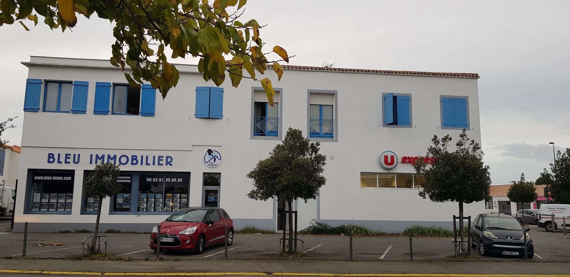 image_6