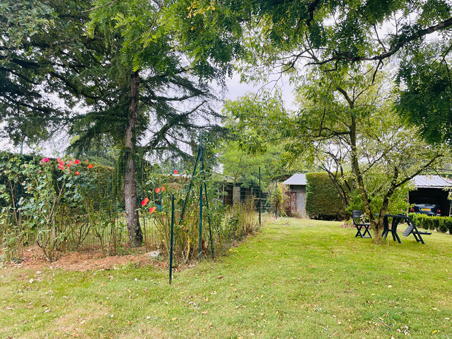 image_9