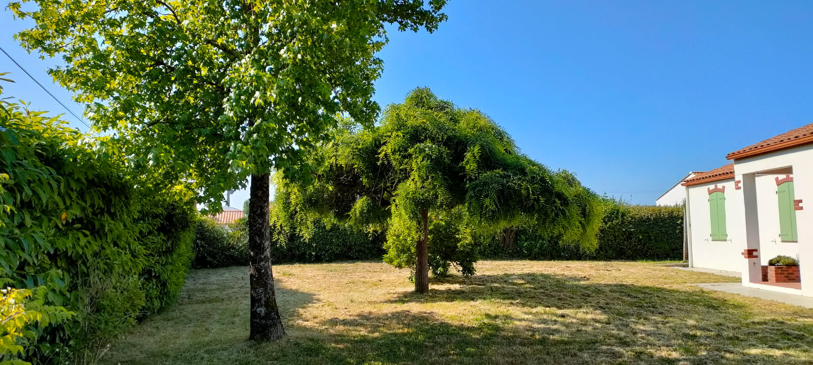 image_1