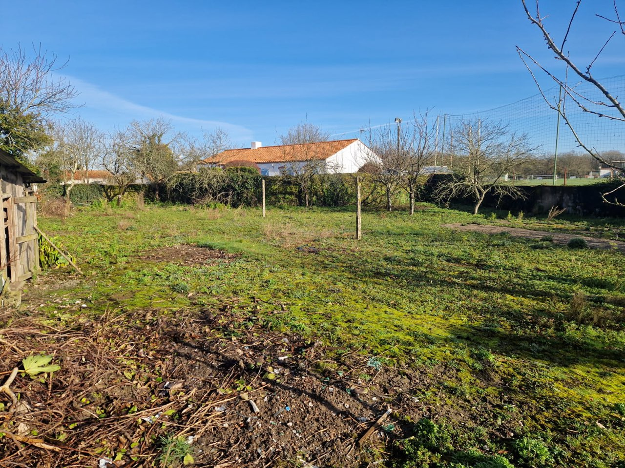 image_8